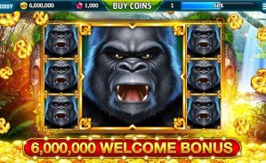 35h bet 35h bet